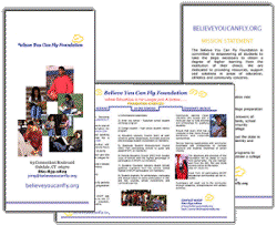 brochure developed for start-up non-profit